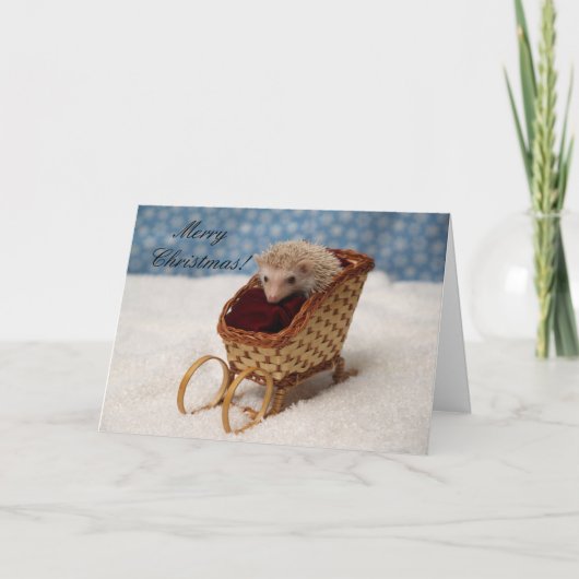 BB238777, MerryChristmas! Feestdagen Kaart (Voorkant)