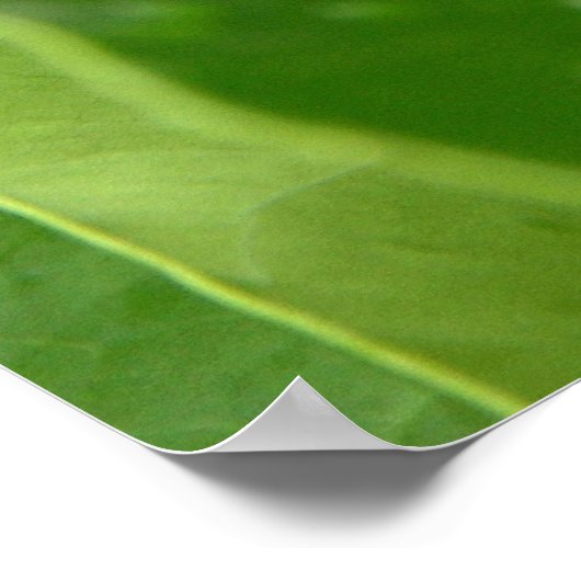 bb fli 2 poster (Hoek)