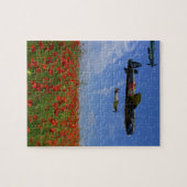 BBMF en papaver Legpuzzel (Horizontaal)