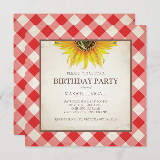 BBQ Birthday Red Gingham Print Kaart (Voorkant / Achterkant)