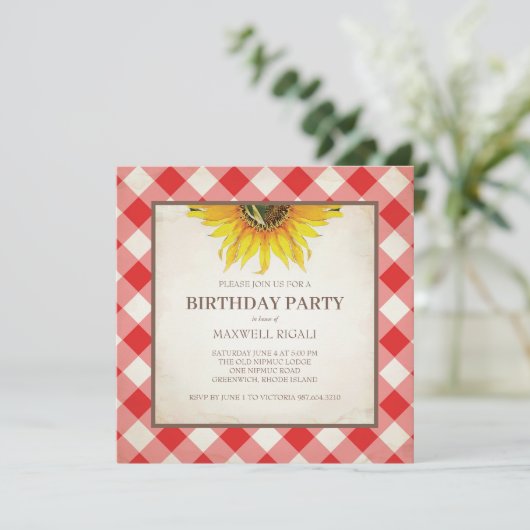 BBQ Birthday Red Gingham Print Kaart (Staand voorkant)