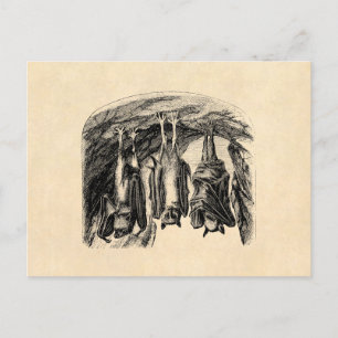  BBT 1800 vliegende biet Briefkaart