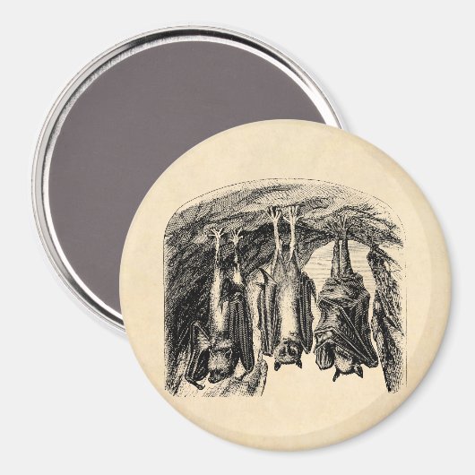  BBT 1800 vliegende biet Magneet (Voorkant / Achterkant)