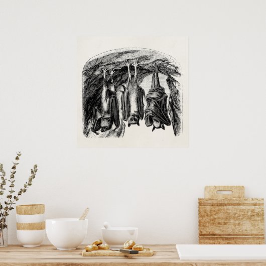  BBT 1800 vliegende biet Poster (Keuken)