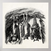  BBT 1800 vliegende biet Poster (Voorkant)