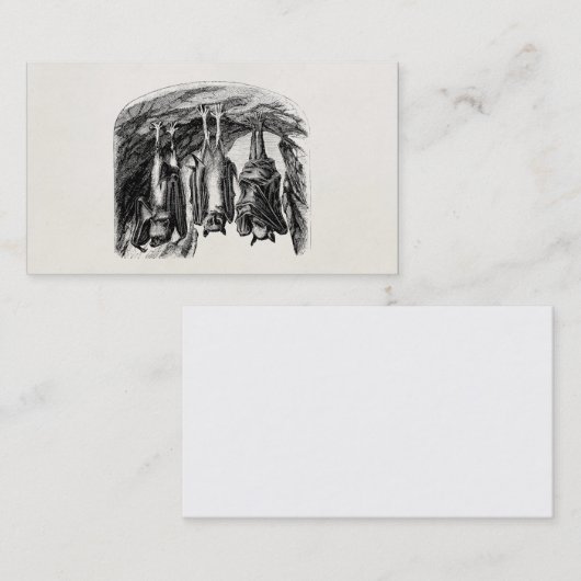  BBT 1800 vliegende biet Visitekaartje (Voorkant / Achterkant)