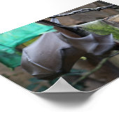 BBT (3) - poster/afdruk Poster (Hoek)