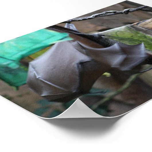 BBT (3) - poster/afdruk Poster (Hoek)