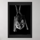 BBT afdrukken Poster (Voorkant)