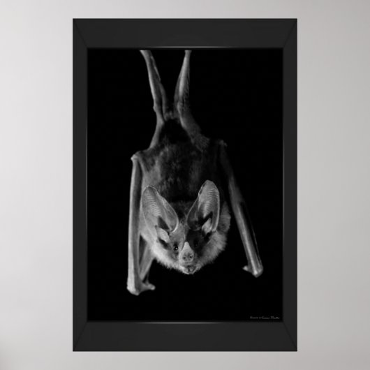 BBT afdrukken Poster (Voorkant)