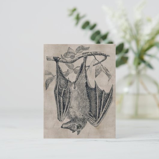  BBT-Briefkaart Briefkaart (Staand voorkant)