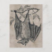  BBT-Briefkaart Briefkaart (Voorkant)