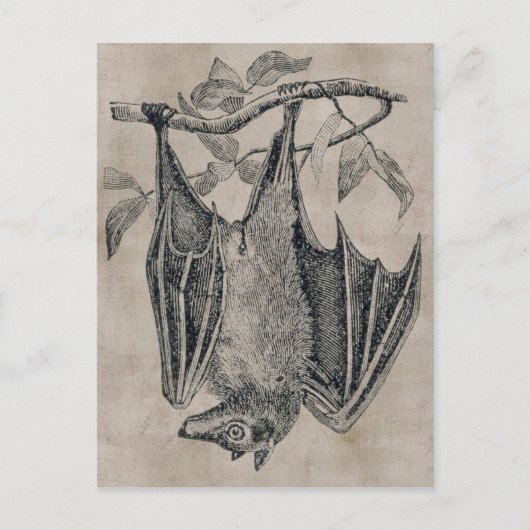  BBT-Briefkaart Briefkaart (Voorkant)