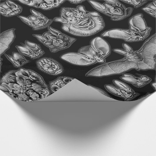  BBT-illustraties Cadeaupapier (Hoek)