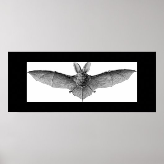 BBT-POSTER POSTER (Voorkant)