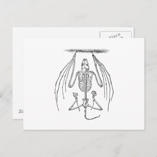  BBT Skelet - Katten en Halloween Sjabloon Briefkaart (Voorkant / Achterkant)