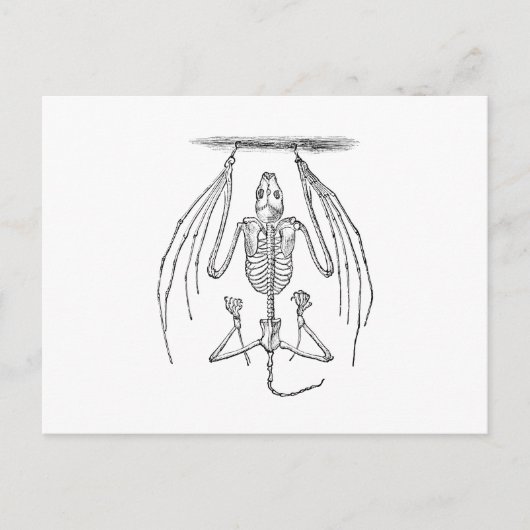  BBT Skelet - Katten en Halloween Sjabloon Briefkaart (Voorkant)