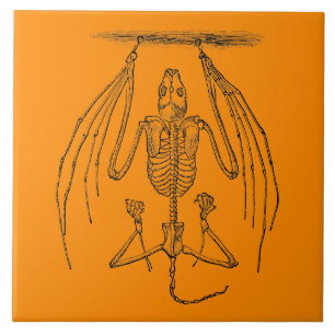 BBT Skelet - Katten en Halloween Sjabloon Tegeltje