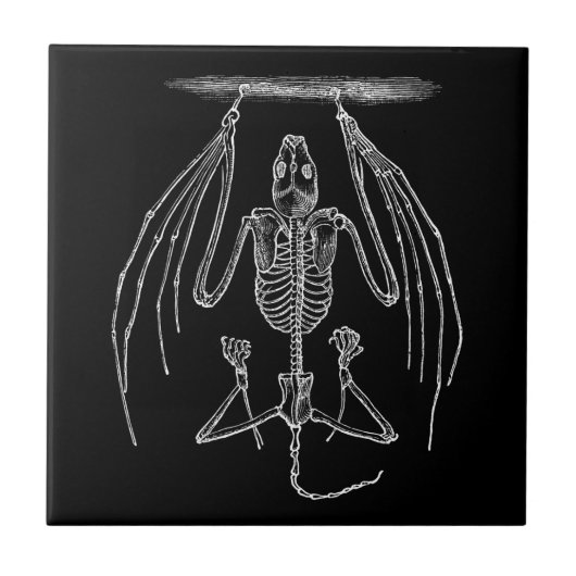 BBT Skelet - Katten en Halloween Sjabloon Tegeltje (Voorkant)