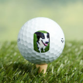 bc ai 2 golfballen (Insitu Shirt)