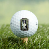 bc ai 4 golfballen (Insitu Shirt)