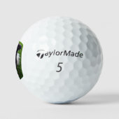bc ai 6 golfballen (Logo)