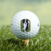 bc ai 8 golfballen (Insitu Shirt)