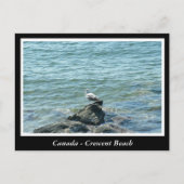 BC, Canada, doorsnee strand Briefkaart (Voorkant)
