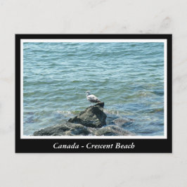 BC, Canada, doorsnee strand Briefkaart
