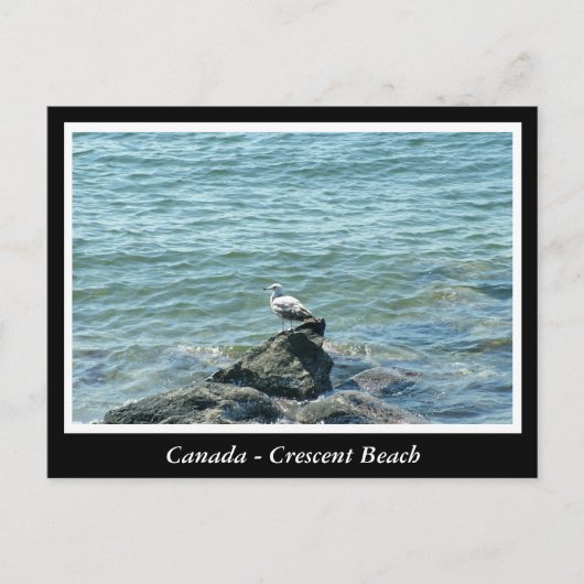 BC, Canada, doorsnee strand Briefkaart (Voorkant)