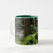 BC Forest Creek Ferns Wilderness Natuur Drinkware Tweekleurige Koffiemok (Voorkant links)