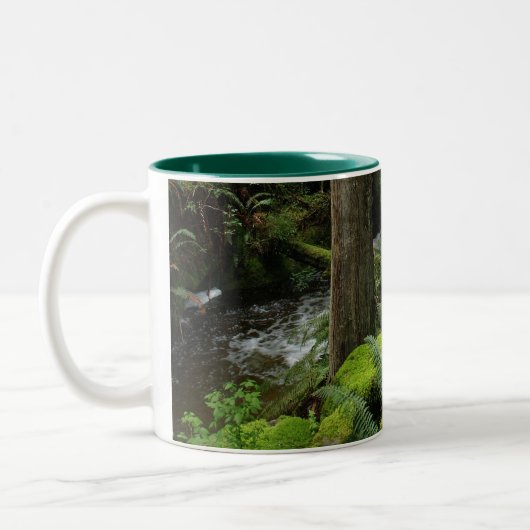 BC Forest Creek Ferns Wilderness Natuur Drinkware Tweekleurige Koffiemok (Links)