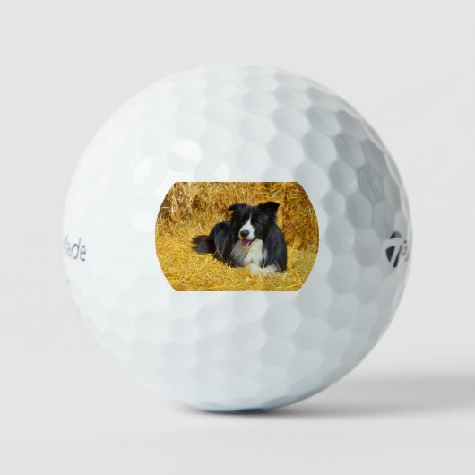 bc in riet golfballen (Voorkant)