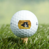 bc in riet golfballen (Insitu Shirt)