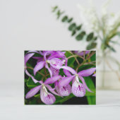 BC Maikai "Louise" Orchids Uitnodiging Briefkaart (Staand voorkant)
