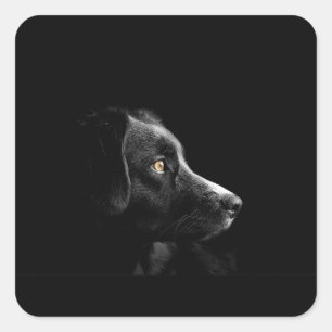 bc op zwart vierkante sticker