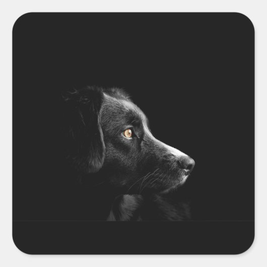 bc op zwart vierkante sticker (Voorkant)