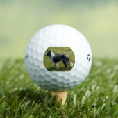 bc p 2 golfballen (Insitu Shirt)
