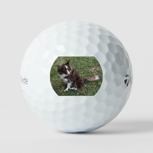 bc p 5 golfballen (Voorkant)