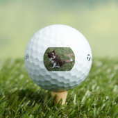 bc p 5 golfballen (Insitu Shirt)