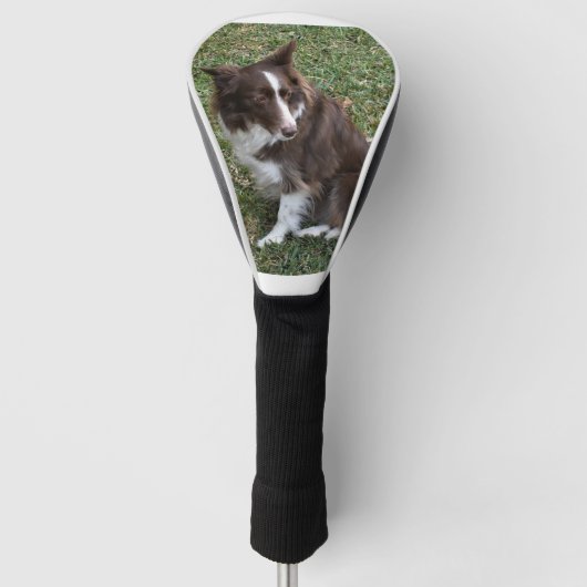 bc p 5 golfheadcover (Voorkant)