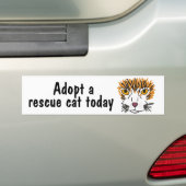 BC- Red een geredde kat vandaag Bumpersticker (Op auto)