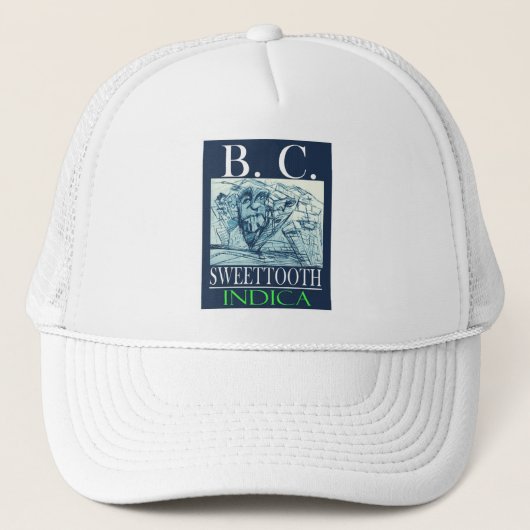 BC SWEETTOOTH INDICA TRUCKER PET (Voorkant)