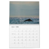 BC Whales Kalender (Mar 2026)