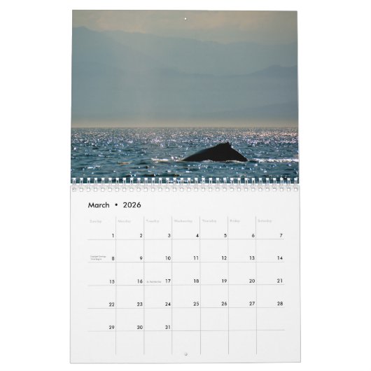 BC Whales Kalender (Mar 2026)