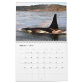 BC Whales Kalender (Feb 2026)