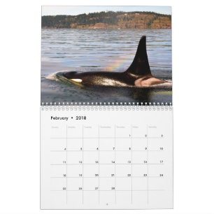 BC Whales Kalender