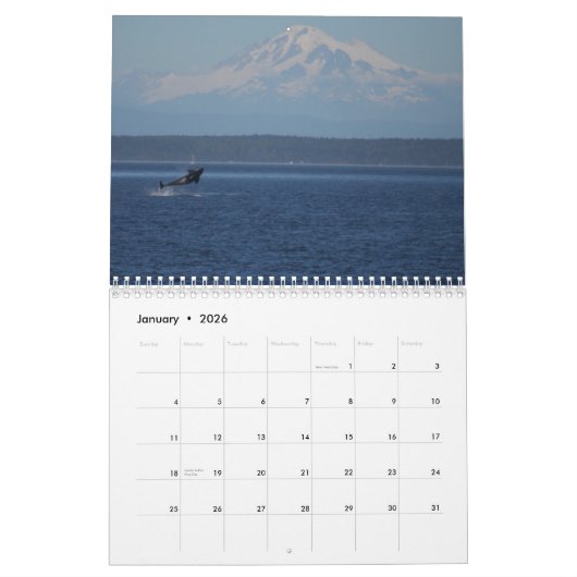 BC Whales Kalender (Jan 2026)