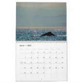 BC Whales Kalender (Mar 2027)