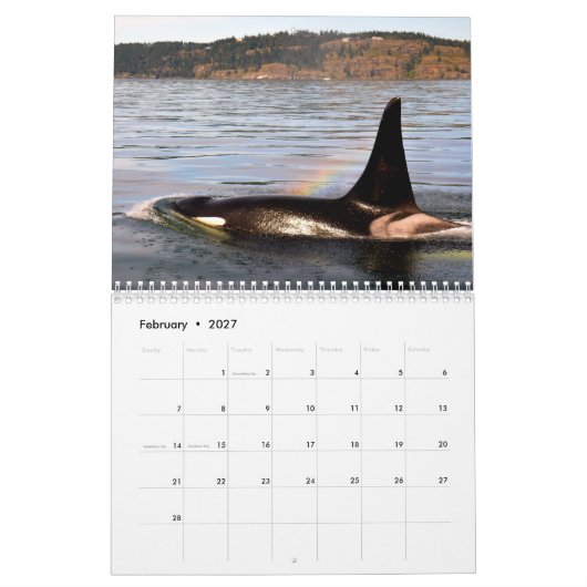 BC Whales Kalender (Feb 2027)